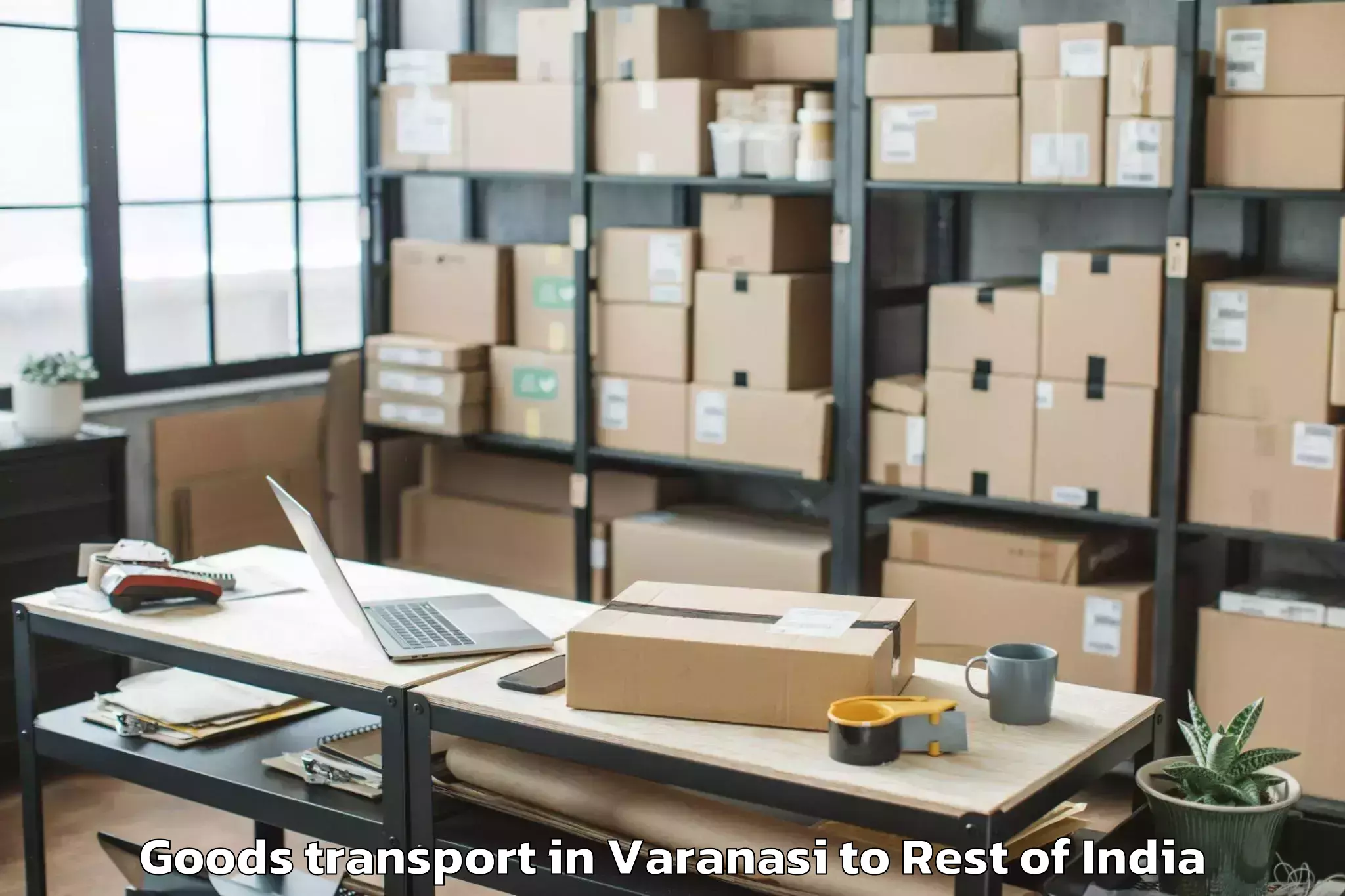 Efficient Varanasi to Jharol Goods Transport